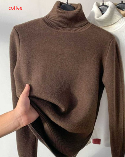 Turtle Neck  Knitted Sweater